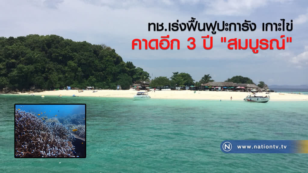 ทช.เร่งฟื้นฟูปะการัง เกาะไข่ คาดอีก3ปี สมบูรณ์ ทช.เร่งฟื้นฟูปะการัง เกาะไข่ คาดอีก3ปี สมบูรณ์