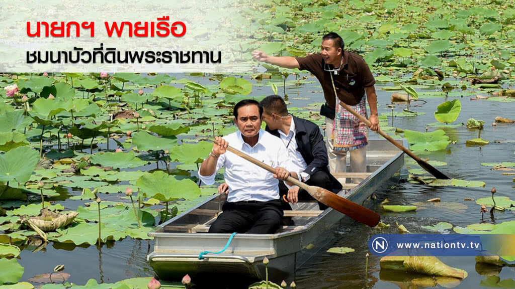นายกฯ พายเรือ
ชมนาบัวที่ดินพระราชทาน นายกฯ พายเรือ
ชมนาบัวที่ดินพระราชทาน