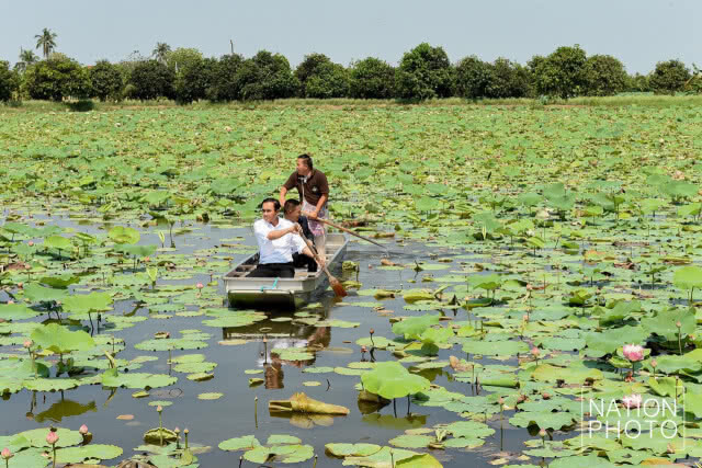 นายกฯ พายเรือ
ชมนาบัวที่ดินพระราชทาน