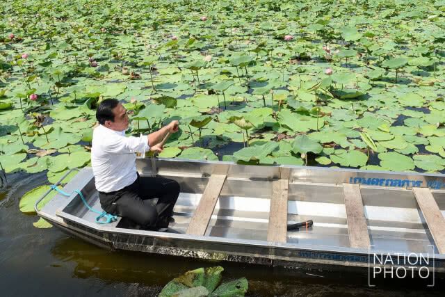นายกฯ พายเรือ
ชมนาบัวที่ดินพระราชทาน