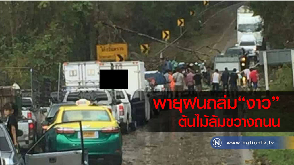 พายุฝนถล่ม
"งาว"ต้นไม้ล้มขวางถนน
จนท.เร่งเคลียร์เส้นทาง