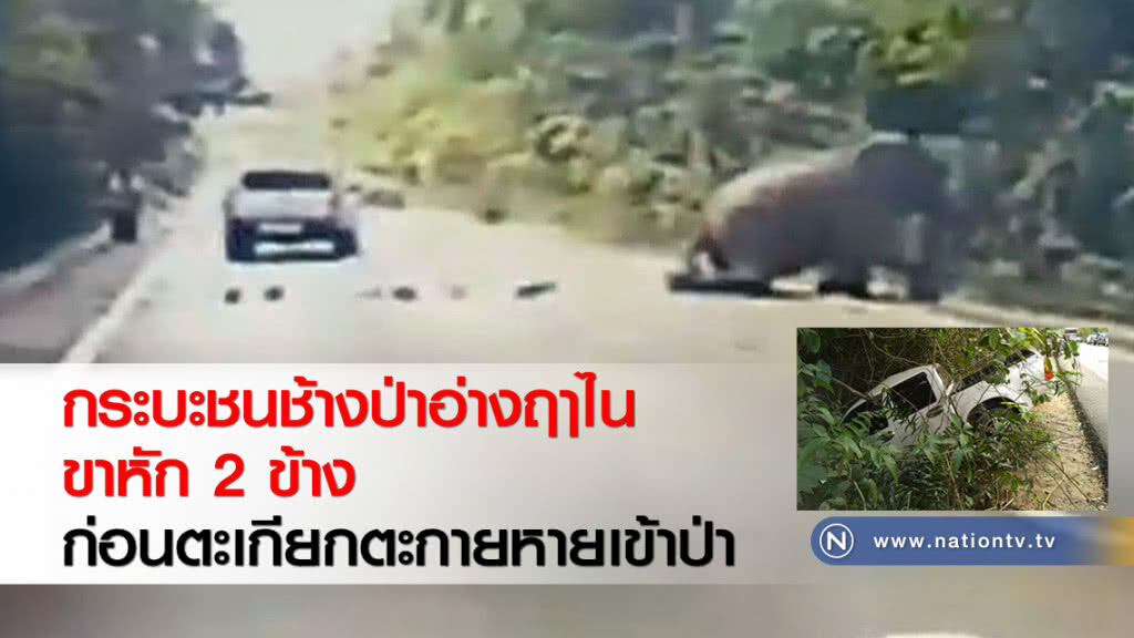 กระบะชนช้างป่าอ่างฤาไนขาหัก 2 ข้าง ก่อนตะเกียกตะกายหายเข้าป่า