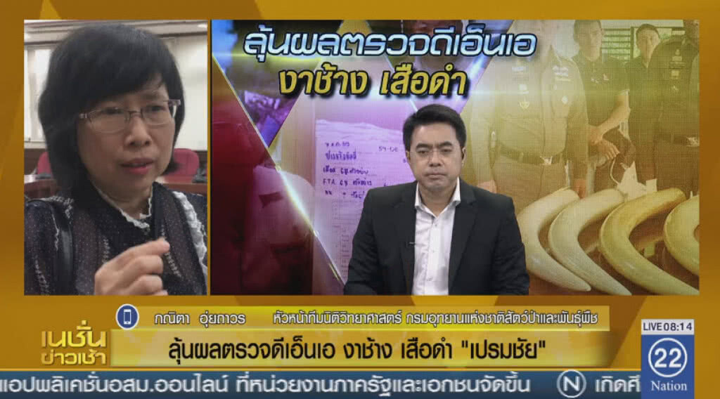 ลุ้นผลตรวจดีเอ็นเองาช้าง เสือดำ "เปรมชัย" ลุ้นผลตรวจดีเอ็นเองาช้าง เสือดำ "เปรมชัย"