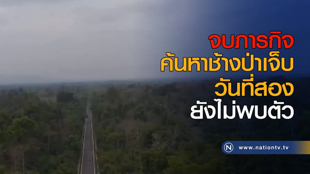 จบภารกิจค้นหาช้างป่าเจ็บวันที่สอง ยังไม่พบตัว