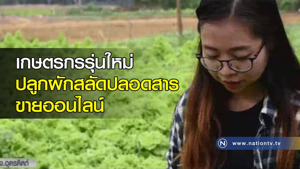 เกษตรกรรุ่นใหม่ ปลูกผักสลัดปลอดสาร ขายออนไลน์ เกษตรกรรุ่นใหม่ ปลูกผักสลัดปลอดสาร ขายออนไลน์