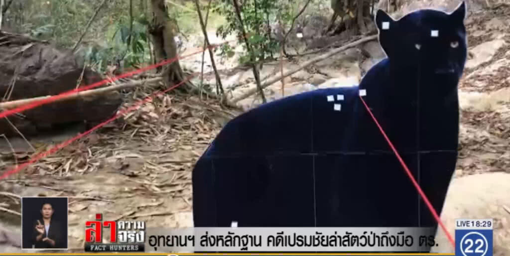 อุทยานฯ ส่งหลักฐาน คดีเปรมชัย ล่าสัตว์ป่าถึงมือ ตร. อุทยานฯ ส่งหลักฐาน คดีเปรมชัย ล่าสัตว์ป่าถึงมือ ตร.