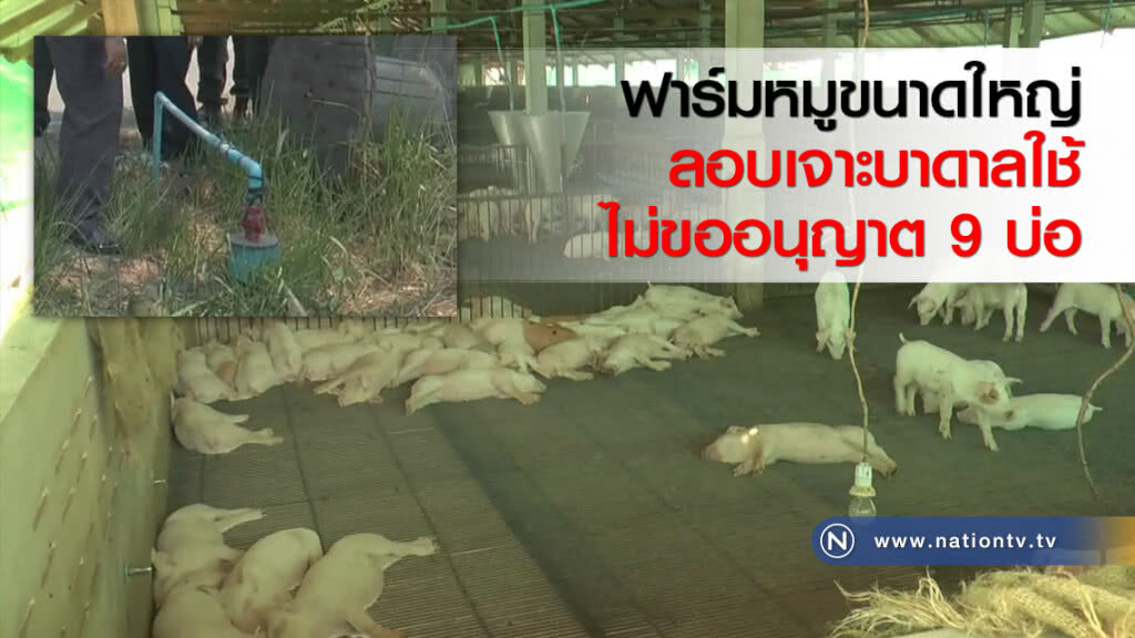 ฟาร์มหมูขนาดใหญ่ลอบเจาะบาดาลใช้ไม่ขออนุญาต 9 บ่อ