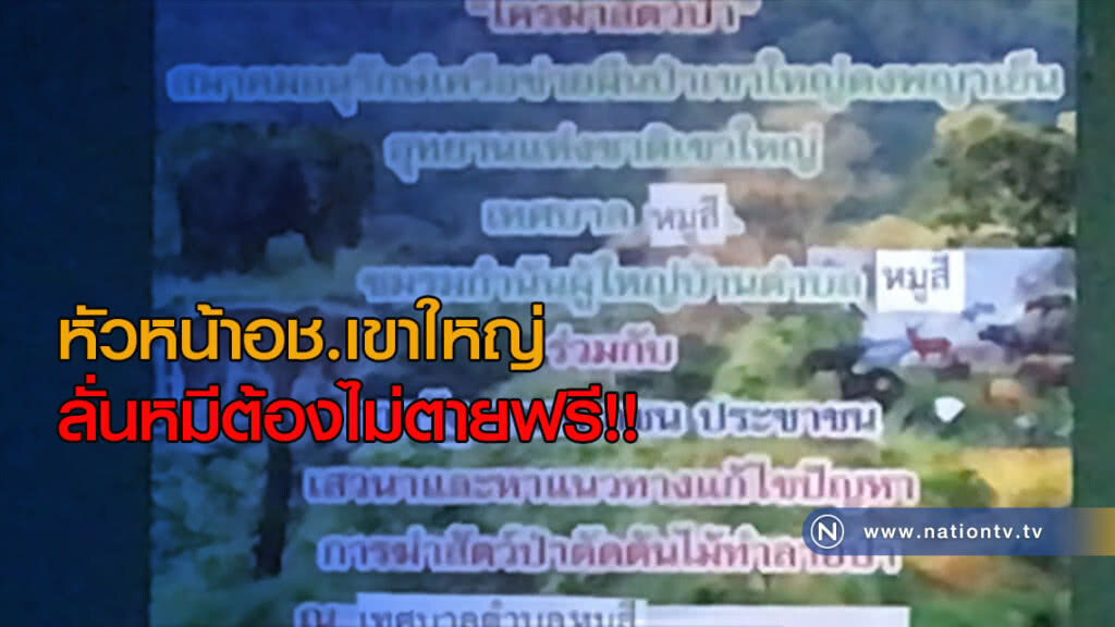 หัวหน้าอช.เขาใหญ่ ลั่นหมีต้องไม่ตายฟรี!!