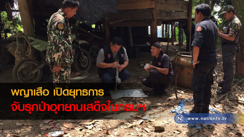 พญาเสือ เปิดยุทธการจับรุกป่าอุทยานเสด็จในกรมฯ