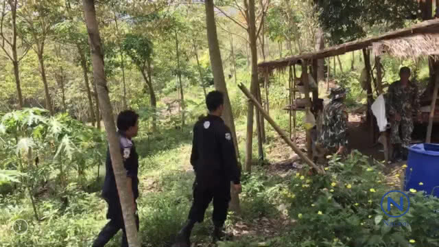 พญาเสือ เปิดยุทธการจับรุกป่าอุทยานเสด็จในกรมฯ