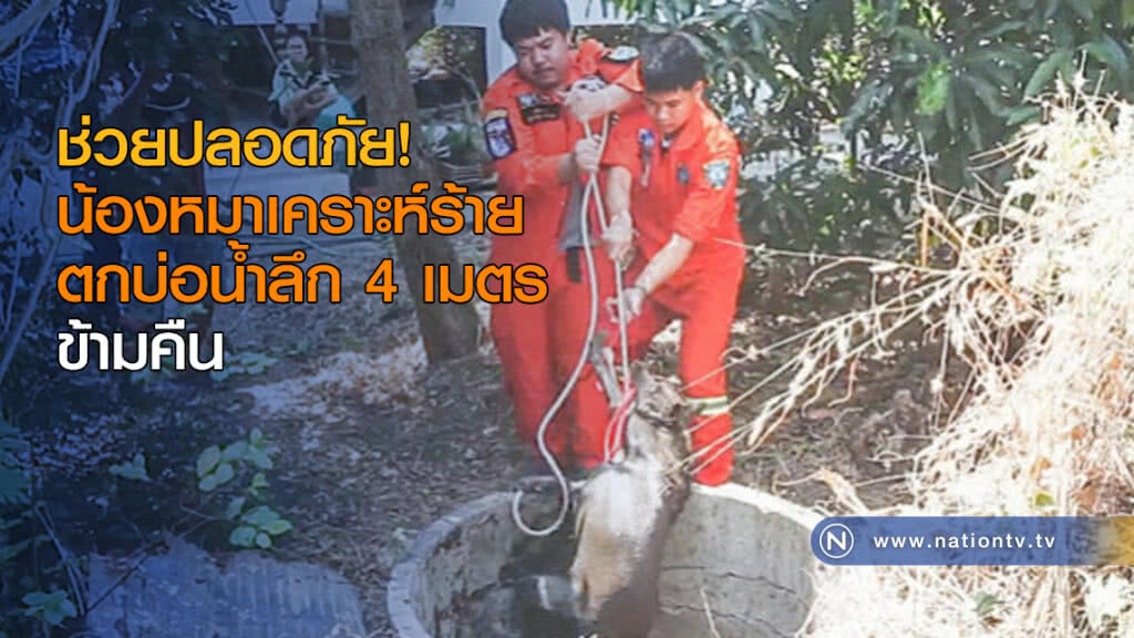 ช่วยปลอดภัย! น้องหมาเคราะห์ร้ายตกบ่อน้ำลึก 4 เมตรข้ามคืน ช่วยปลอดภัย! น้องหมาเคราะห์ร้ายตกบ่อน้ำลึก 4 เมตรข้ามคืน
