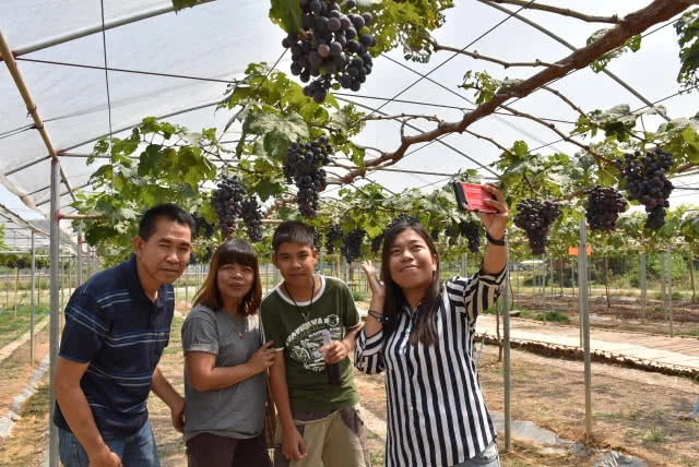 อดีตพนง.สาว BTS พลิกที่ดินรกร้างทำไร่องุ่นออแกนิค