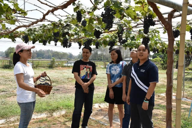 อดีตพนง.สาว BTS พลิกที่ดินรกร้างทำไร่องุ่นออแกนิค