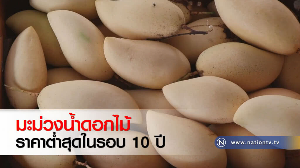 มะม่วงน้ำดอกไม้ราคาต่ำสุดในรอบ 10 ปี