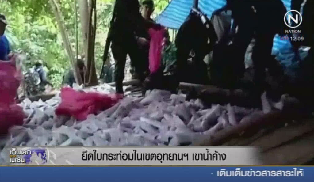 ยึดใบกระท่อม ในเขตอุทยานฯเขาน้ำค้าง ยึดใบกระท่อม ในเขตอุทยานฯเขาน้ำค้าง