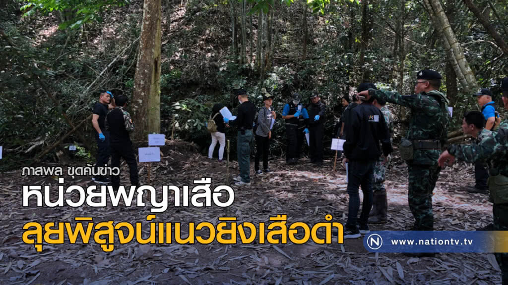 หน่วยพญาเสือ ลุยพิสูจน์แนวยิงเสือดำ