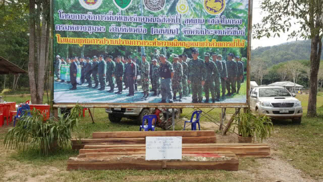 พญาเสือยึดไม้เถื่อน 500 แผ่น