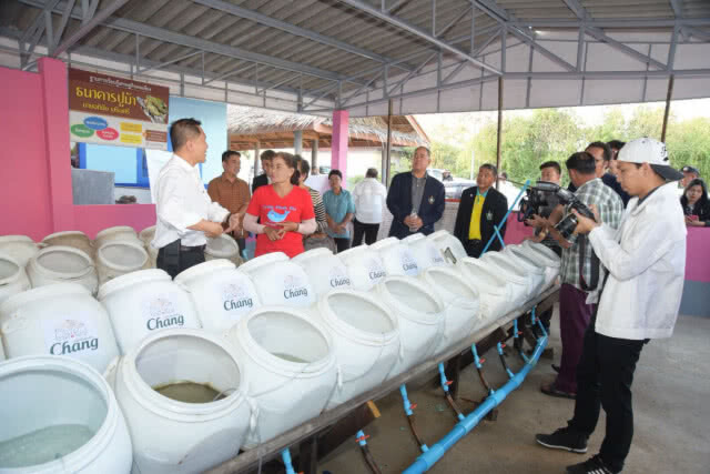 "วีระศักดิ์"ลงพื้นที่"แหลมผักเบี้ย"
ชมกลุ่มชุมชนธนาคารปูม้า