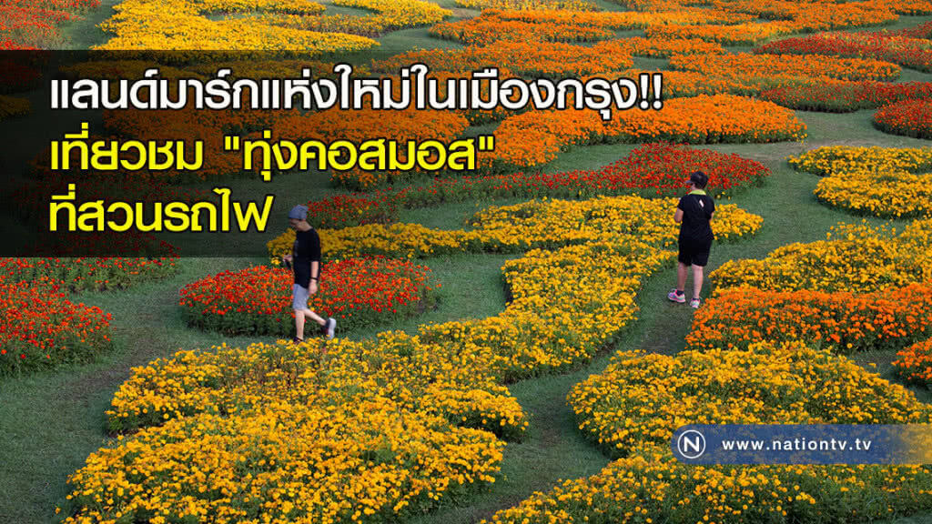 แลนด์มาร์กแห่งใหม่ในเมืองกรุง!! เที่ยวชม "ทุ่งคอสมอส" ที่สวนรถไฟ แลนด์มาร์กแห่งใหม่ในเมืองกรุง!! เที่ยวชม "ทุ่งคอสมอส" ที่สวนรถไฟ