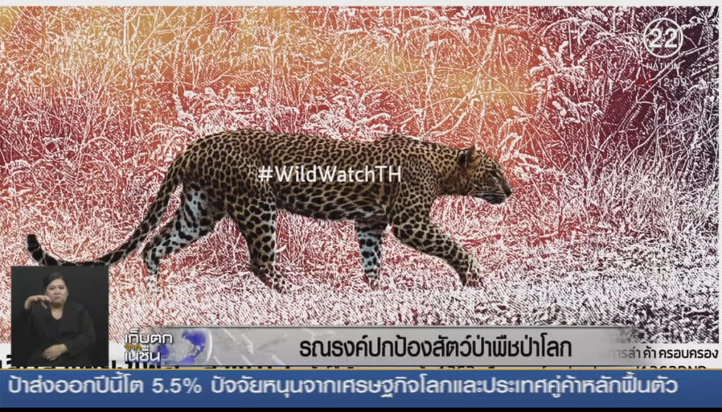 รณรงค์ปกป้องสัตว์ป่าพืชป่าโลก รณรงค์ปกป้องสัตว์ป่าพืชป่าโลก