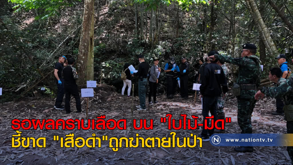 รอผลคราบเลือดบน "ใบไม้-มีด" ชี้ขาด "เสือดำ" ถูกฆ่าตายในป่า รอผลคราบเลือดบน "ใบไม้-มีด" ชี้ขาด "เสือดำ" ถูกฆ่าตายในป่า