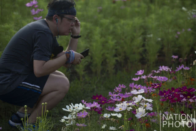 แลนด์มาร์กแห่งใหม่ในเมืองกรุง!! เที่ยวชม "ทุ่งคอสมอส" ที่สวนรถไฟ