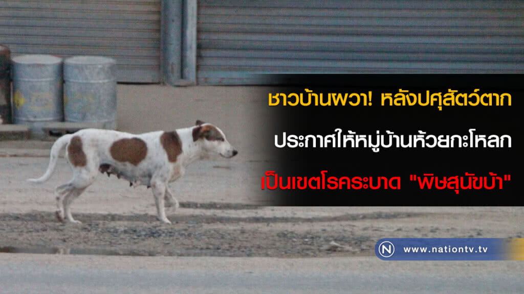 ชาวบ้านผวา! หลังปศุสัตว์ตากประกาศให้หมู่บ้านห้วยกะโหลกเป็นเขตโรคระบาด "พิษสุนัขบ้า"