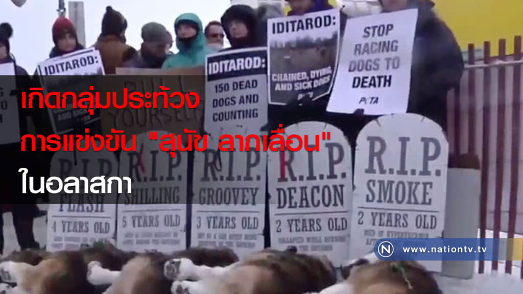 เกิดกลุ่มประท้วงการแข่งขัน "สุนัข ลากเลื่อน" ในอลาสกา เกิดกลุ่มประท้วงการแข่งขัน "สุนัข ลากเลื่อน" ในอลาสกา
