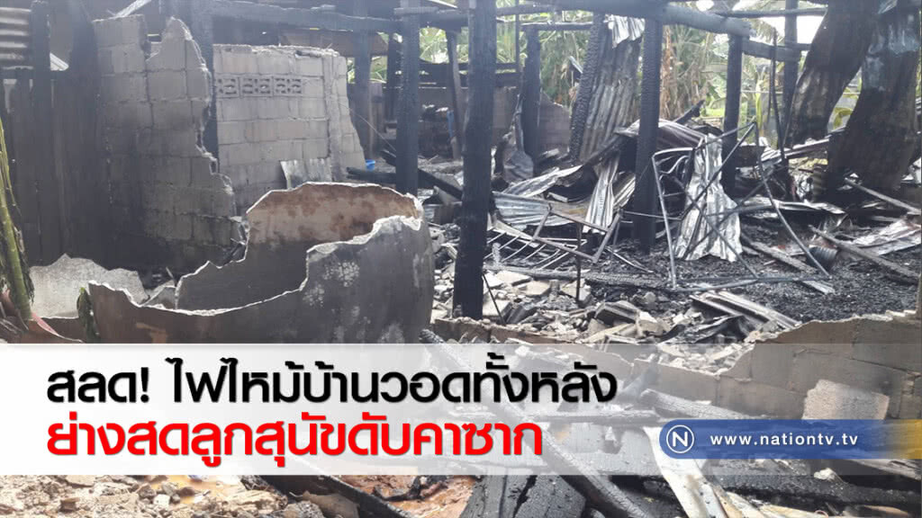สลด! ไฟไหม้บ้านวอดทั้งหลังย่างสดลูกสุนัขดับคาซาก
