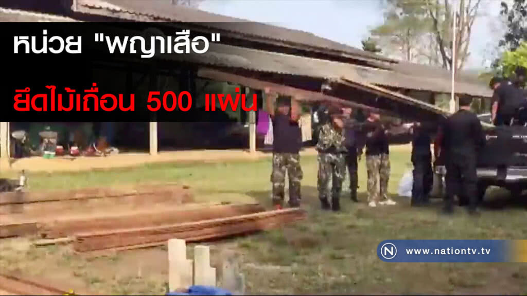 หน่วย "พญาเสือ" ยึดไม้เถื่อน 500 แผ่น