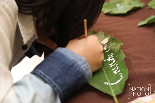 เทศกาลคนกับป่าครั้งที่ 2 "ถักทอต่อผืนป่า"