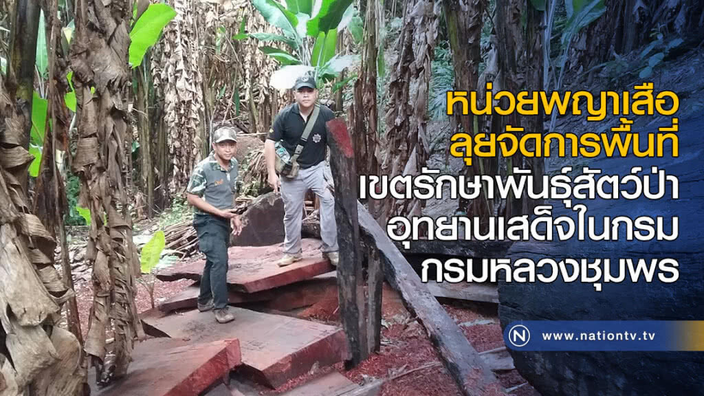 หน่วยพญาเสือ ลุยจัดการพื้นที่เขตรักษาพันธุ์สัตว์ป่า อุทยานเสด็จในกรม กรมหลวงชุมพร