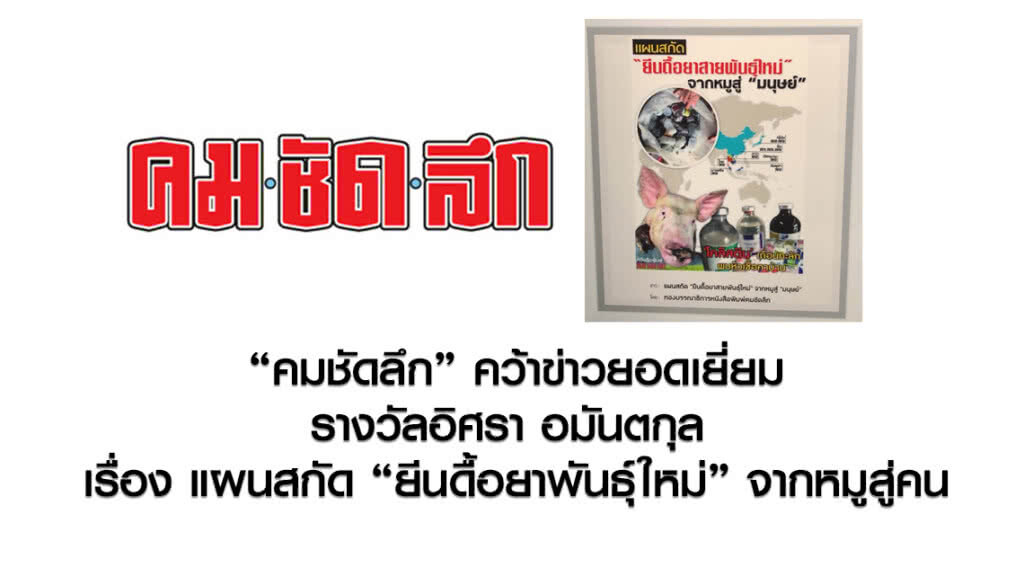 'คมชัดลึก' คว้าข่าวยอดเยี่ยมรางวัลอิศรา อมันตกุล เรื่อง"แผนสกัด "ยีนดื้อยาพันธุ์ใหม่" จากหมูสู่คน"