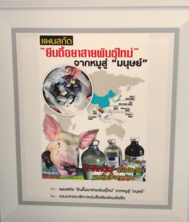 'คมชัดลึก' คว้าข่าวยอดเยี่ยมรางวัลอิศรา อมันตกุล เรื่อง"แผนสกัด "ยีนดื้อยาพันธุ์ใหม่" จากหมูสู่คน"