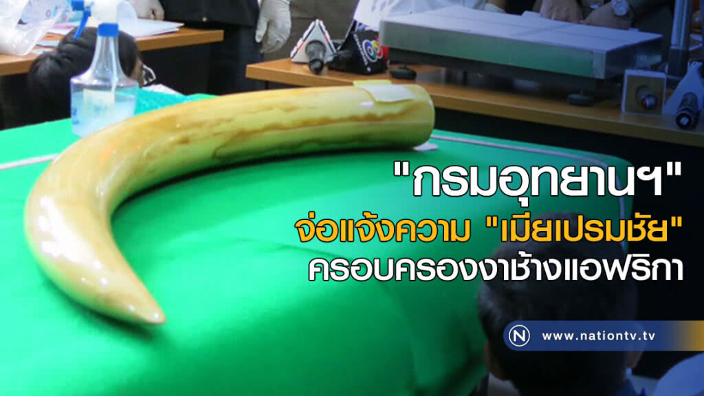 "กรมอุทยานฯ" จ่อแจ้งความ "เมียเปรมชัย" ครอบครองงาช้างแอฟริกา "กรมอุทยานฯ" จ่อแจ้งความ "เมียเปรมชัย" ครอบครองงาช้างแอฟริกา