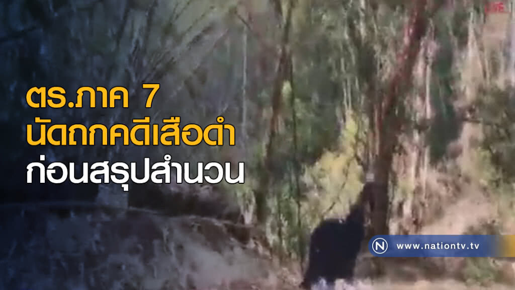 ตร.ภาค 7 นัดถกคดีเสือดำก่อนสรุปสำนวน 26 มี.ค.นี้ ตร.ภาค 7 นัดถกคดีเสือดำก่อนสรุปสำนวน 26 มี.ค.นี้