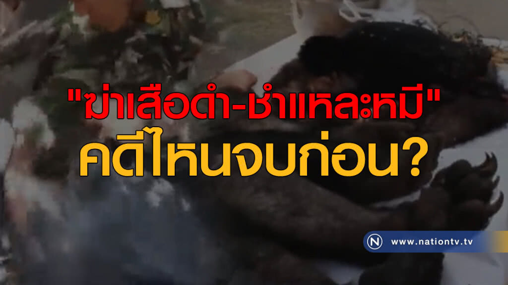 "ฆ่าเสือดำ-ชำแหละหมี" คดีไหนจบก่อน
