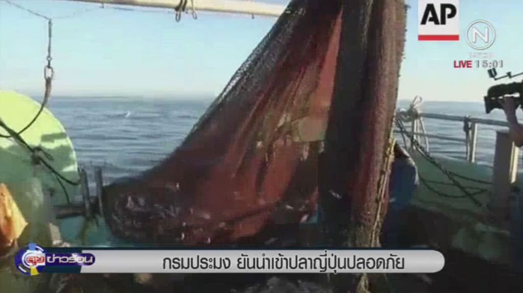 กรมประมงยันนำเข้าปลาญี่ปุ่นปลอดภัย กรมประมงยันนำเข้าปลาญี่ปุ่นปลอดภัย