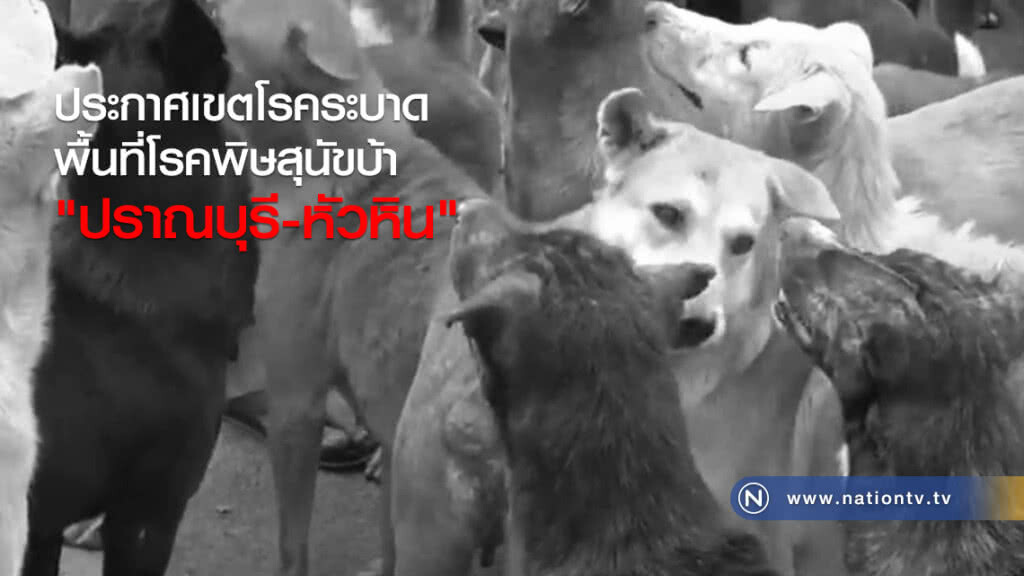 ประกาศเขตโรคระบาด
พื้นที่โรคพิษสุนัขบ้า
"ปราณบุรี-หัวหิน"