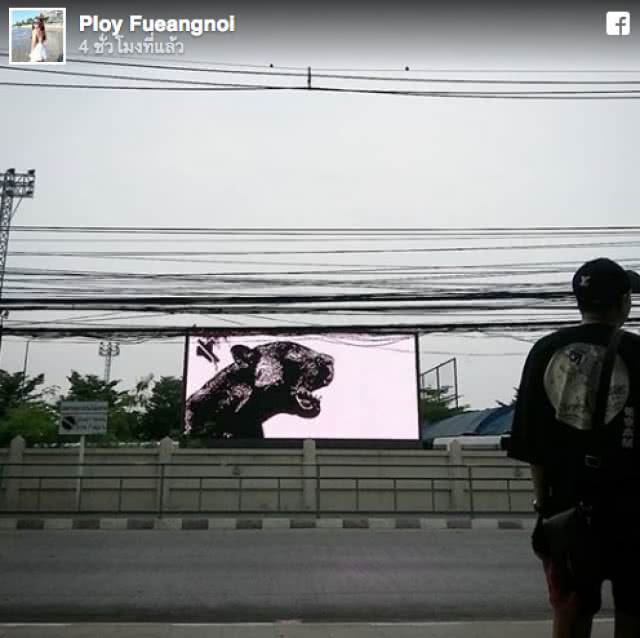 ลบออกแล้วไง... ขึ้นจอซะเลย! "กราฟฟิตี้เสือดำ" หน้ามทร.ธัญบุรี