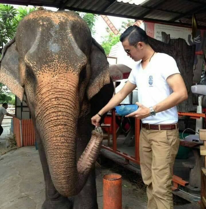 ทำไม "สัตว์หายาก" 1,300 ชนิด ..ไม่ห้ามทรมาน?