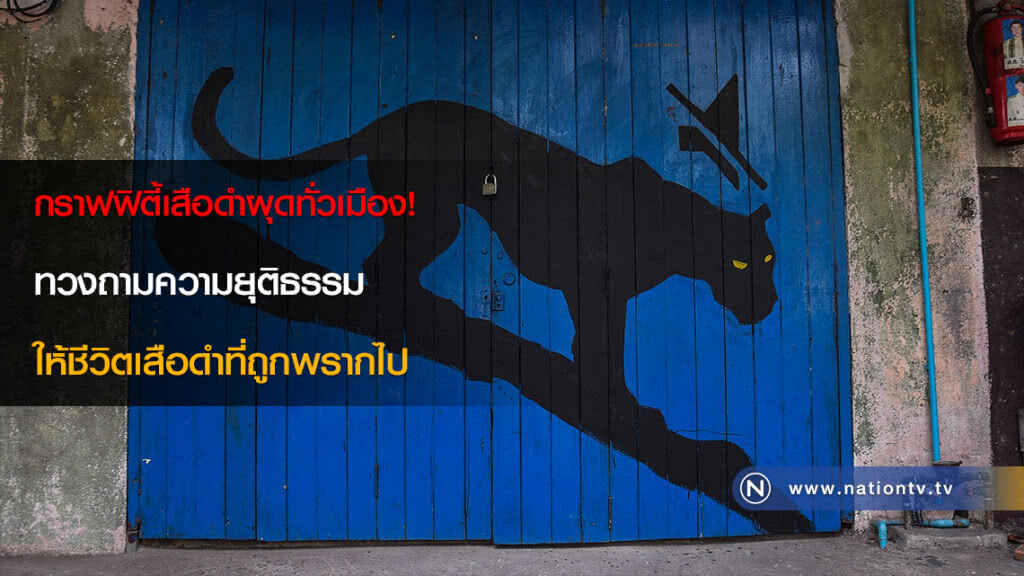 กราฟฟิตี้เสือดำผุดทั่วเมือง! ทวงถามความยุติธรรมให้ชีวิตเสือดำที่ถูกพรากไป กราฟฟิตี้เสือดำผุดทั่วเมือง! ทวงถามความยุติธรรมให้ชีวิตเสือดำที่ถูกพรากไป