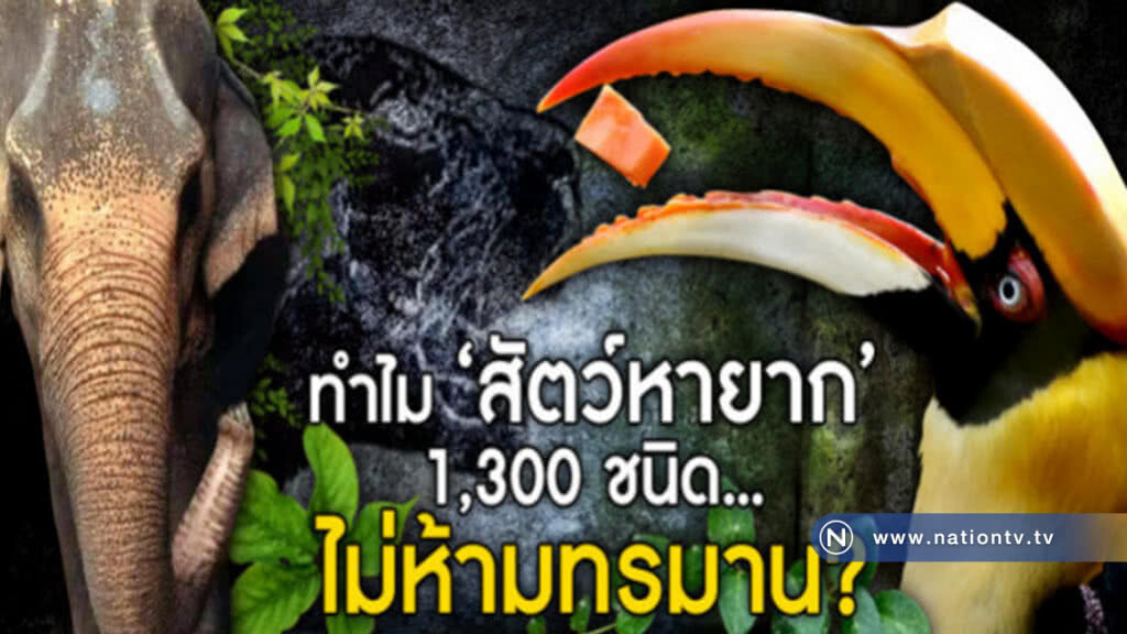 ทำไม "สัตว์หายาก" 1,300 ชนิด ..ไม่ห้ามทรมาน?