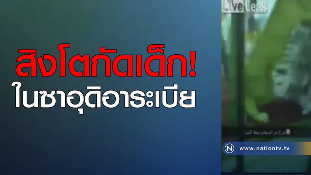 สิงโตกัดเด็กในซาอุดิอาระเบีย สิงโตกัดเด็กในซาอุดิอาระเบีย
