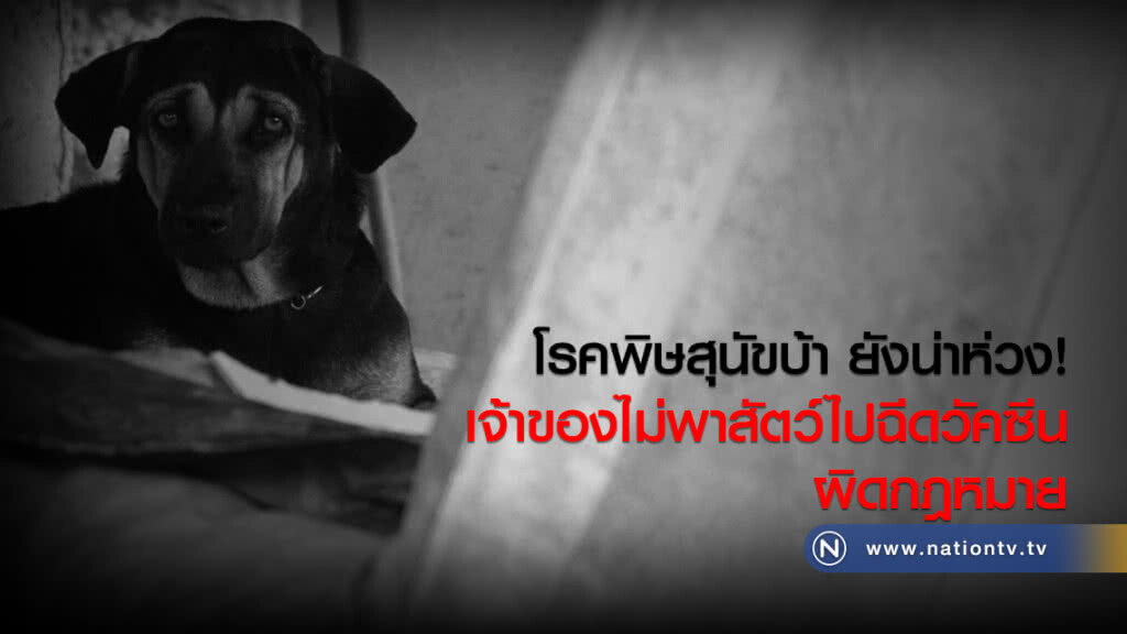 โรคพิษสุนัขบ้า ยังน่าห่วง
เจ้าของไม่พาสัตว์ไปฉีดวัคซีน ผิดกฎหมาย!