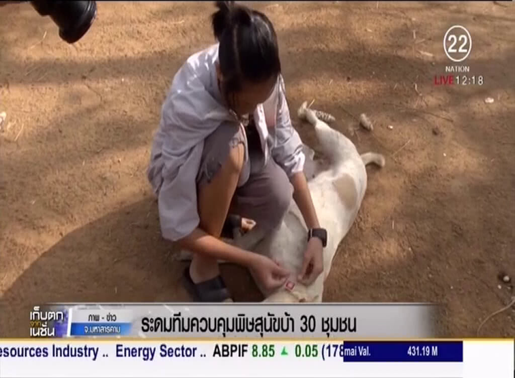 ปูพรมระดมทีมควบคุมพิษสุนัขบ้า 30 ชุมชน ปูพรมระดมทีมควบคุมพิษสุนัขบ้า 30 ชุมชน