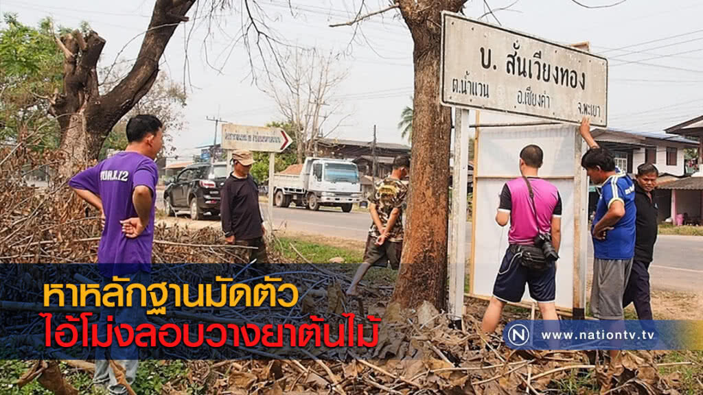 หาหลักฐานมัดตัวไอ้โม่งลอบวางยาต้นไม้ หาหลักฐานมัดตัวไอ้โม่งลอบวางยาต้นไม้
