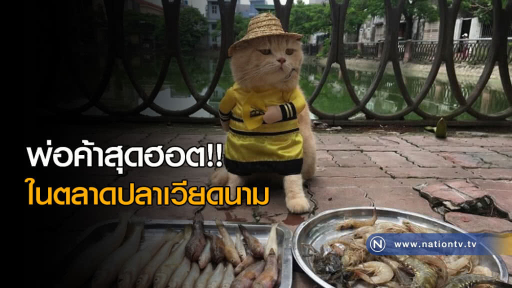 พ่อค้าสุดฮอต!! ในตลาดปลาเวียดนาม พ่อค้าสุดฮอต!! ในตลาดปลาเวียดนาม