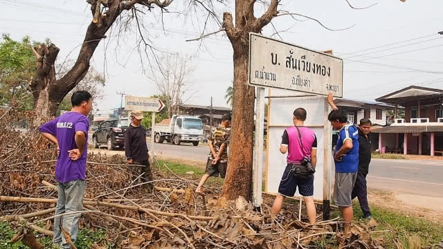 เต้น!หาหลักฐานเอาผิดไอ้โม่งแอบวางยาต้นไม้ยืนต้นตาย