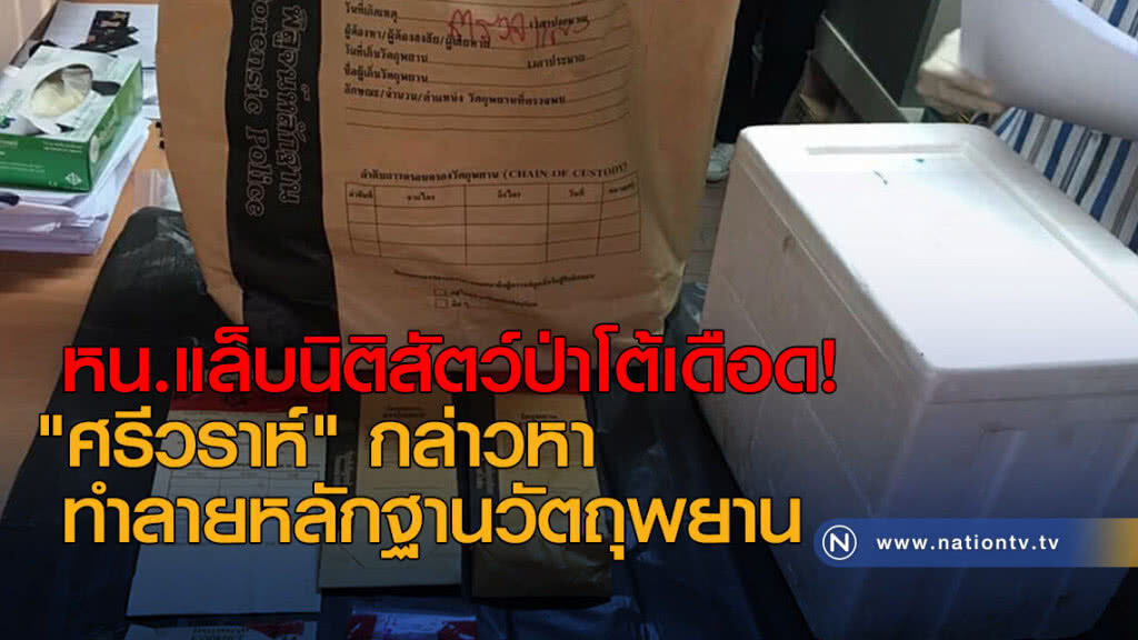 หน.แล็บนิติสัตว์ป่าโต้เดือด! "ศรีวราห์" กล่าวหาทำลายหลักฐานวัตถุพยาน
